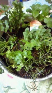 200811151721000s.jpg
